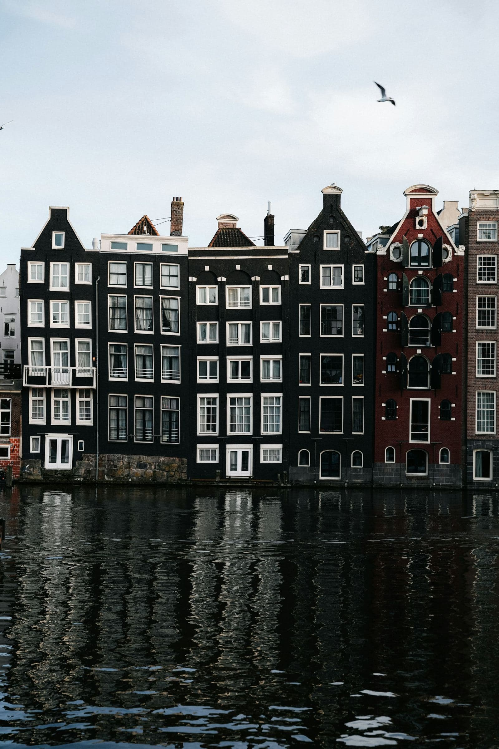 A row of gabled 17th-century canal houses reflected in an Amsterdam canal, Netherlands
